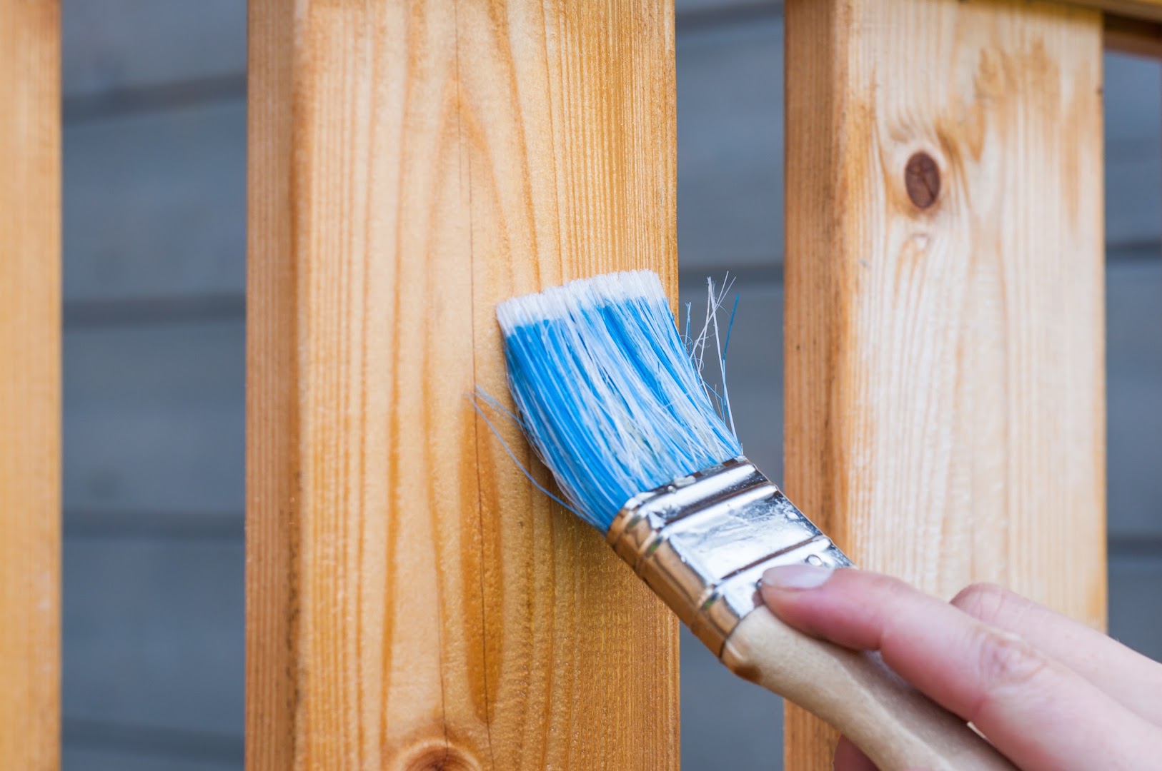 can handyman — Photos 1